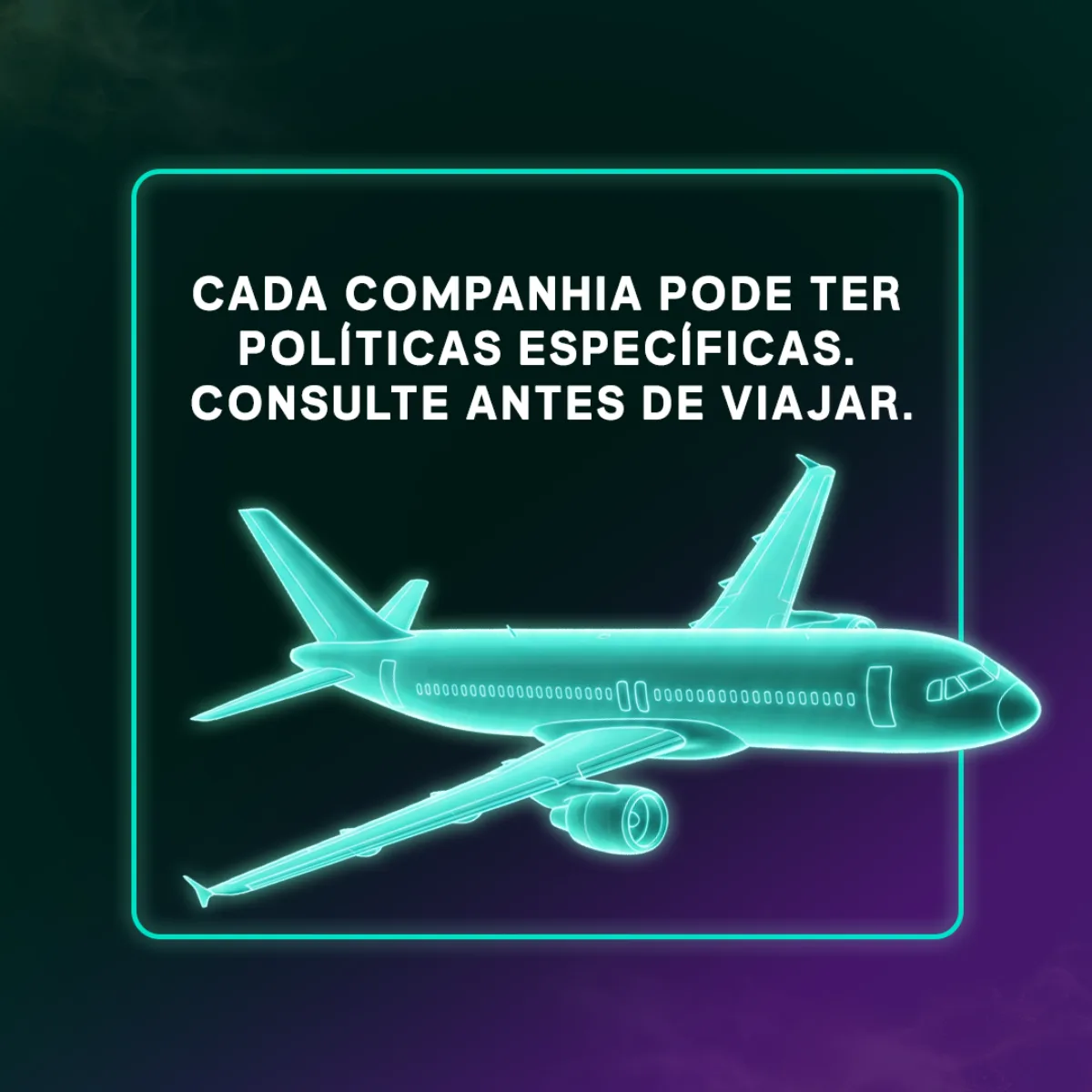 Antes de fazer a mala, imagem 5 de 6